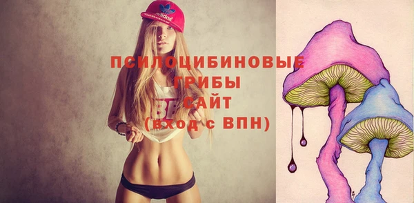 тгк Краснослободск