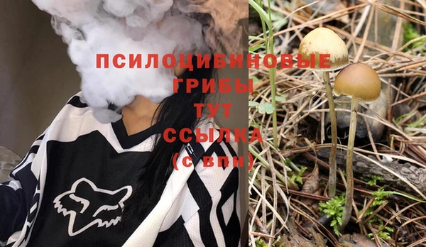 тгк Краснослободск
