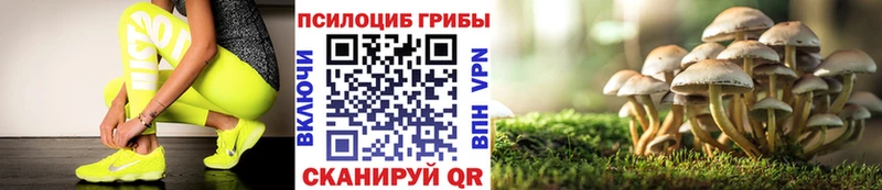 Псилоцибиновые грибы GOLDEN TEACHER  Нарьян-Мар 
